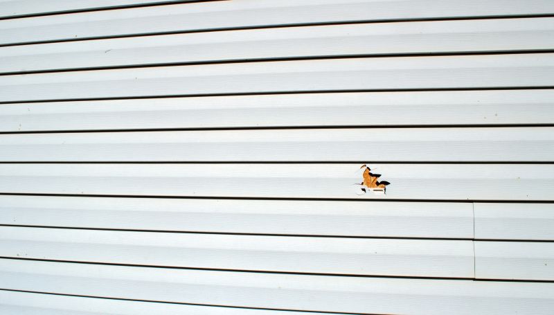 Wall and Siding Fixes