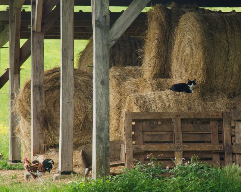 Barn Installation in Wilmington, NC